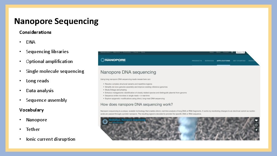 Nanopore Sequencing Considerations • DNA • Sequencing libraries • Optional amplification • Single molecule