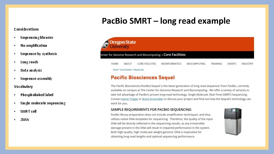 Pac. Bio SMRT – long read example Considerations • Sequencing libraries • No amplification