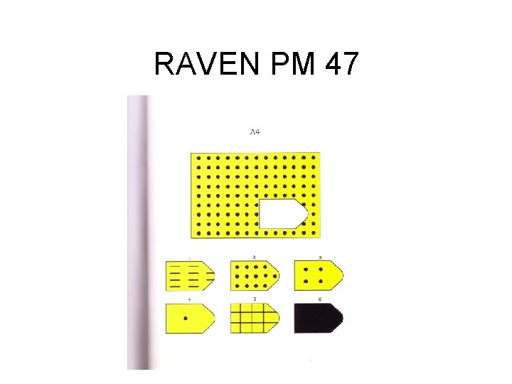 RAVEN PM 47 