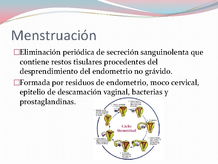 Menstruación �Eliminación periódica de secreción sanguinolenta que contiene restos tisulares procedentes del desprendimiento del Menstruación �Eliminación periódica de secreción sanguinolenta que contiene restos tisulares procedentes del desprendimiento del