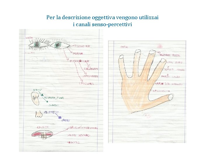 Per la descrizione oggettiva vengono utilizzai i canali senso-percettivi 