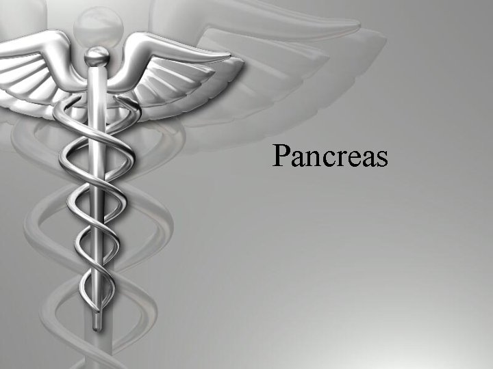 Pancreas 