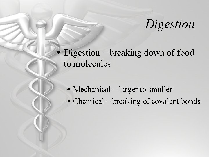 Digestion w Digestion – breaking down of food to molecules w Mechanical – larger