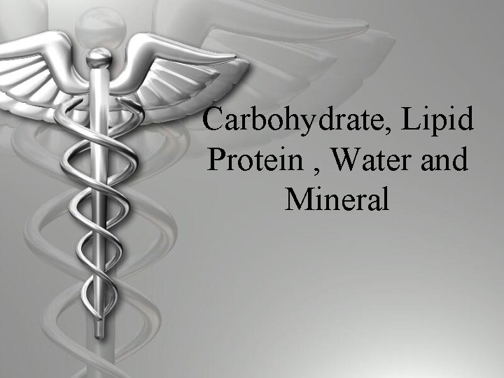 Carbohydrate, Lipid Protein , Water and Mineral 