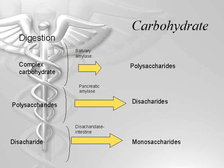 Carbohydrate Digestion Salivary amylase Complex carbohydrate Polysaccharides Pancreatic amylase Disacharides Polysaccharides Disacharidaseintestine Disacharide Monosaccharides