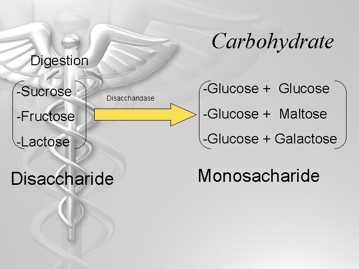 Carbohydrate Digestion -Sucrose Disaccharidase -Glucose + Glucose -Fructose -Glucose + Maltose -Lactose -Glucose +