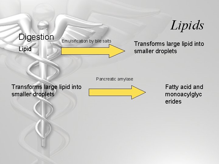Digestion Lipids Emulsification by bile salts Lipid Transforms large lipid into smaller droplets Pancreatic