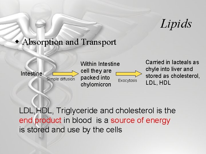 Lipids w Absorption and Transport Intestine Simple diffusion Within Intestine cell they are packed