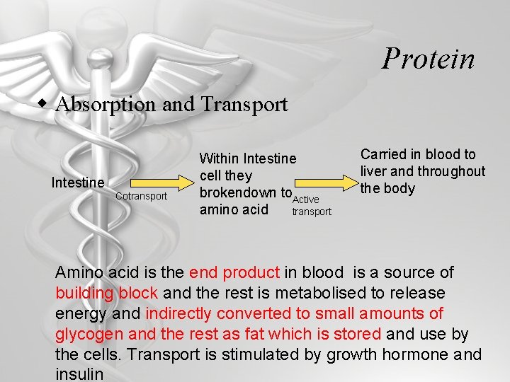 Protein w Absorption and Transport Intestine Cotransport Within Intestine cell they brokendown to. Active