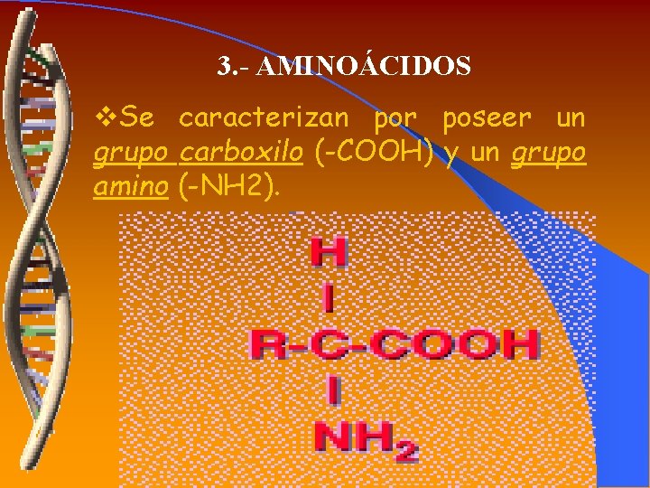 3. - AMINOÁCIDOS v. Se caracterizan por poseer un grupo carboxilo (-COOH) y un