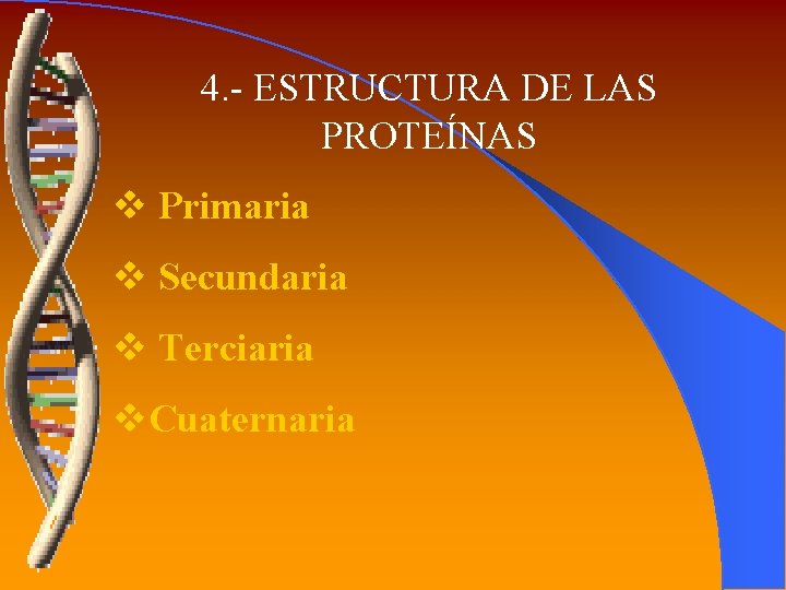 4. - ESTRUCTURA DE LAS PROTEÍNAS v Primaria v Secundaria v Terciaria v. Cuaternaria