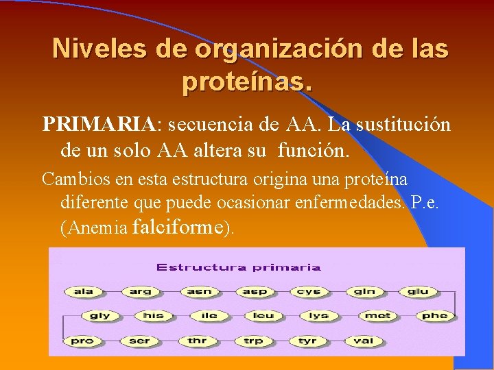Niveles de organización de las proteínas. PRIMARIA: secuencia de AA. La sustitución de un