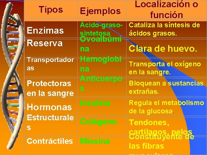 Tipos Enzimas Reserva Ejemplos Localización o función Ácido-graso- Cataliza la síntesis de sintetosa ácidos