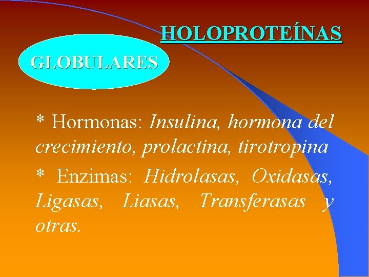 HOLOPROTEÍNAS GLOBULARES * Hormonas: Insulina, hormona del crecimiento, prolactina, tirotropina * Enzimas: Hidrolasas, Oxidasas,