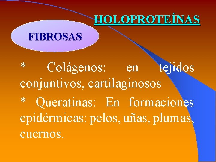 HOLOPROTEÍNAS FIBROSAS * Colágenos: en tejidos conjuntivos, cartilaginosos * Queratinas: En formaciones epidérmicas: pelos,