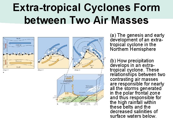 Extra-tropical Cyclones Form between Two Air Masses (a) The genesis and early development of Extra-tropical Cyclones Form between Two Air Masses (a) The genesis and early development of