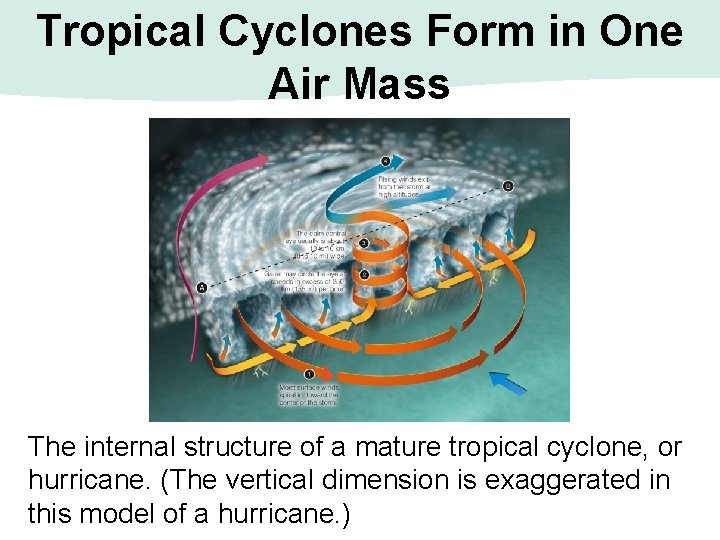 Tropical Cyclones Form in One Air Mass The internal structure of a mature tropical Tropical Cyclones Form in One Air Mass The internal structure of a mature tropical