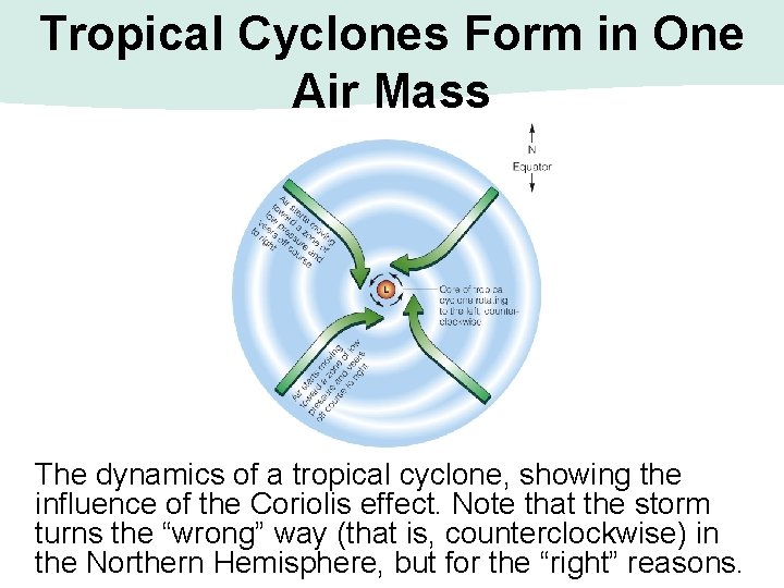 Tropical Cyclones Form in One Air Mass The dynamics of a tropical cyclone, showing Tropical Cyclones Form in One Air Mass The dynamics of a tropical cyclone, showing