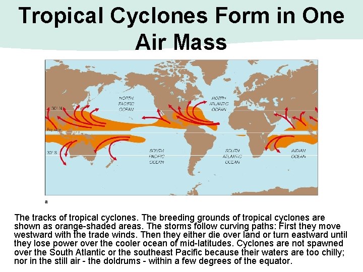 Tropical Cyclones Form in One Air Mass The tracks of tropical cyclones. The breeding Tropical Cyclones Form in One Air Mass The tracks of tropical cyclones. The breeding