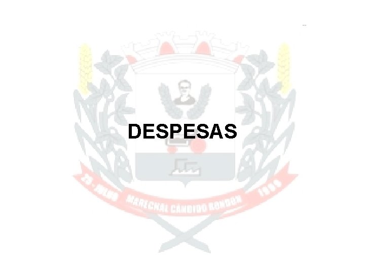 DESPESAS 