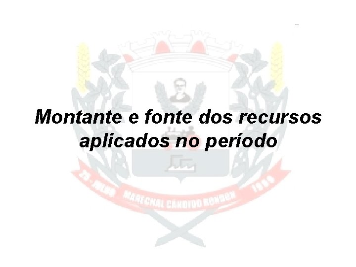 Montante e fonte dos recursos aplicados no período 