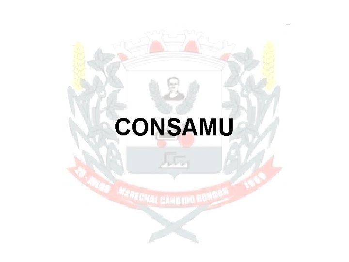 CONSAMU 