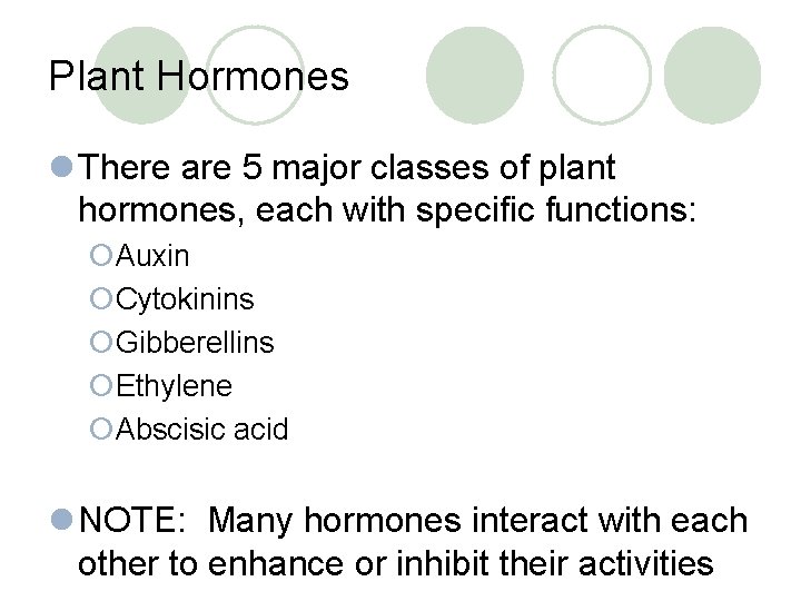 Plant Hormones l There are 5 major classes of plant hormones, each with specific