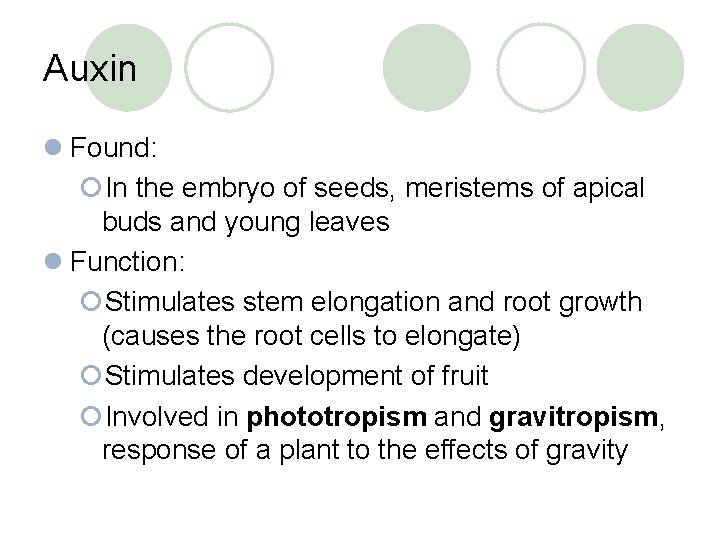 Auxin l Found: ¡In the embryo of seeds, meristems of apical buds and young