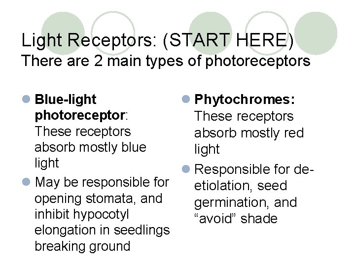 Light Receptors: (START HERE) There are 2 main types of photoreceptors l Blue-light l