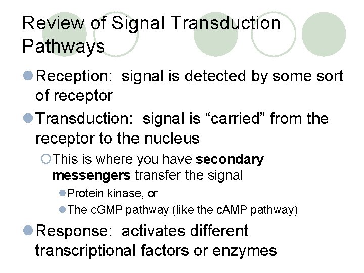 Review of Signal Transduction Pathways l Reception: signal is detected by some sort of