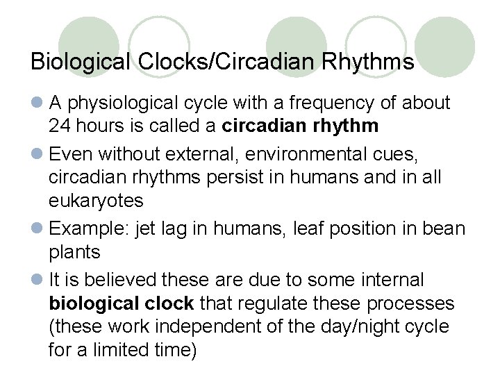 Biological Clocks/Circadian Rhythms l A physiological cycle with a frequency of about 24 hours