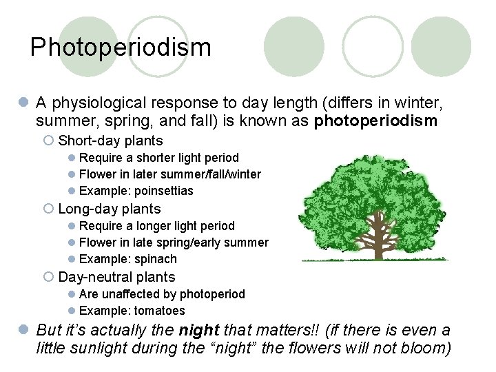 Photoperiodism l A physiological response to day length (differs in winter, summer, spring, and