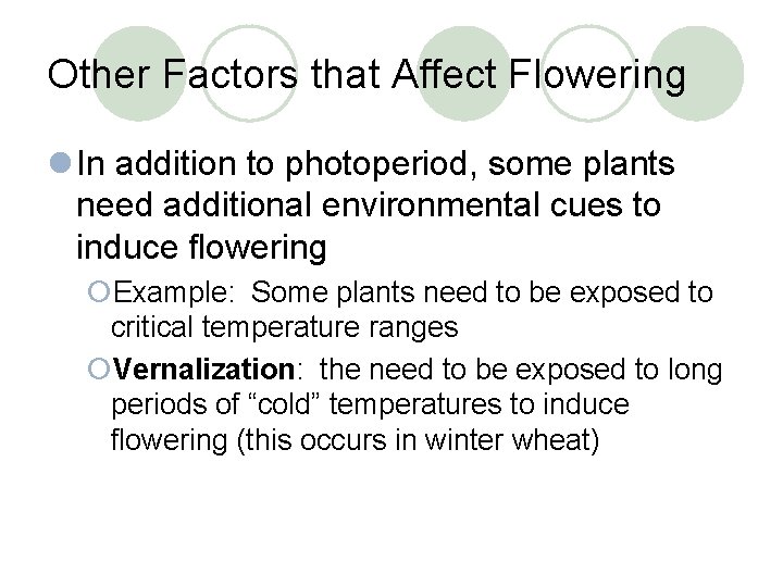 Other Factors that Affect Flowering l In addition to photoperiod, some plants need additional