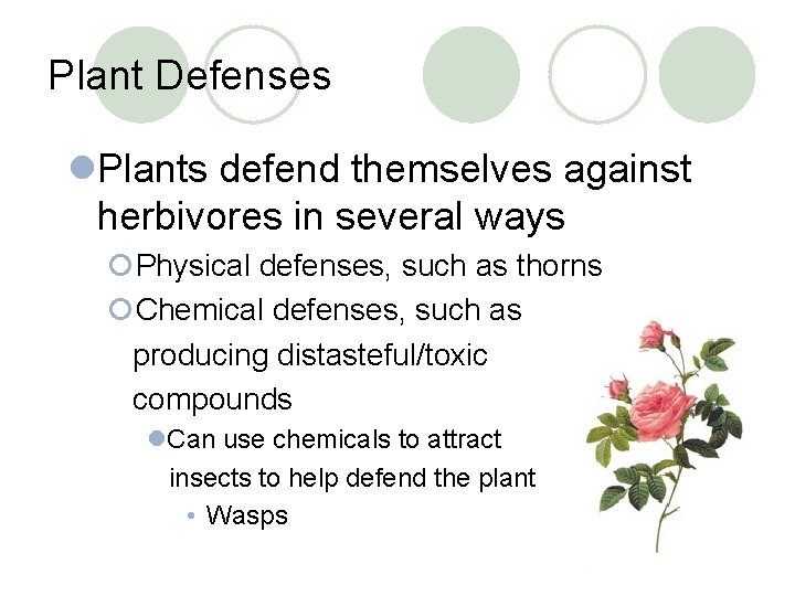 Plant Defenses l. Plants defend themselves against herbivores in several ways ¡Physical defenses, such