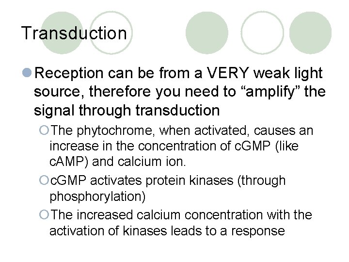 Transduction l Reception can be from a VERY weak light source, therefore you need