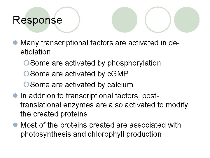 Response l Many transcriptional factors are activated in deetiolation ¡Some are activated by phosphorylation