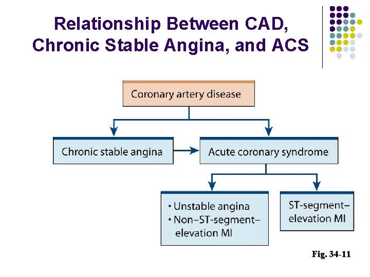 Relationship Between CAD, Chronic Stable Angina, and ACS Fig. 34 -11 