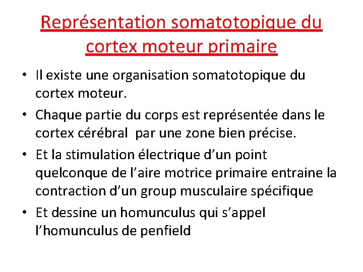 Représentation somatotopique du cortex moteur primaire • Il existe une organisation somatotopique du cortex