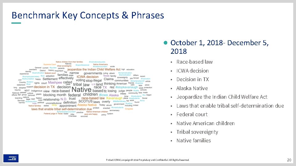 Benchmark Key Concepts & Phrases October 1, 2018 - December 5, 2018 • Race-based