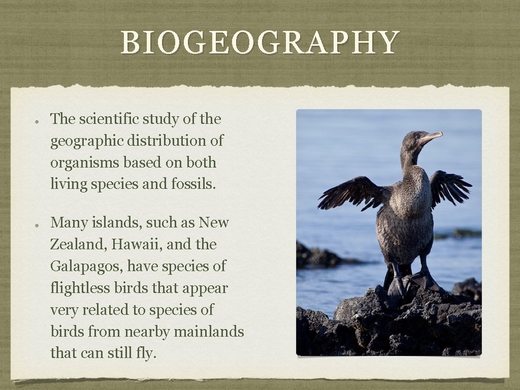 BIOGEOGRAPHY The scientific study of the geographic distribution of organisms based on both living