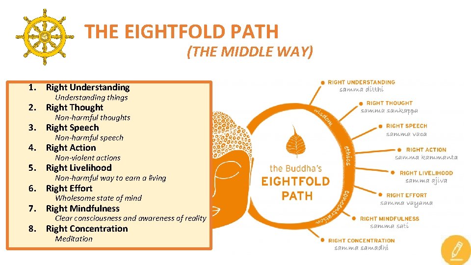 THE EIGHTFOLD PATH (THE MIDDLE WAY) 1. Right Understanding things 2. Right Thought Non-harmful THE EIGHTFOLD PATH (THE MIDDLE WAY) 1. Right Understanding things 2. Right Thought Non-harmful