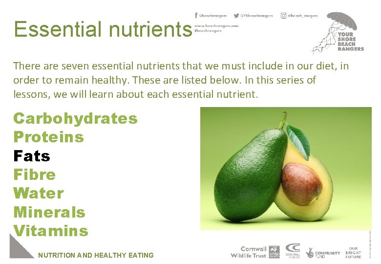 Essential nutrients There are seven essential nutrients that we must include in our diet,