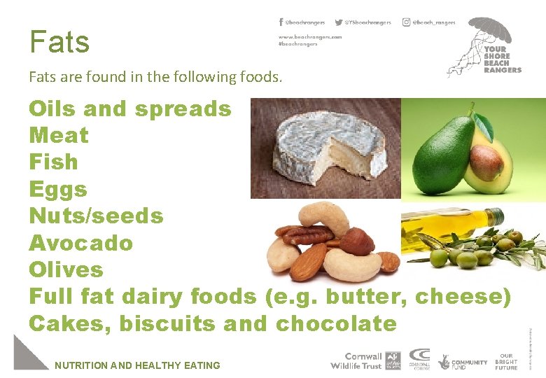 Fats are found in the following foods. Oils and spreads Meat Fish Eggs Nuts/seeds