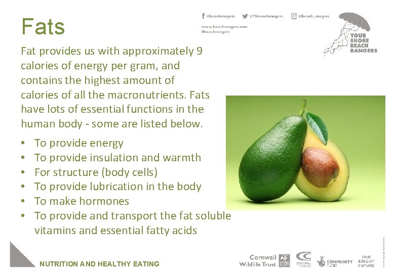 Fats Fat provides us with approximately 9 calories of energy per gram, and contains