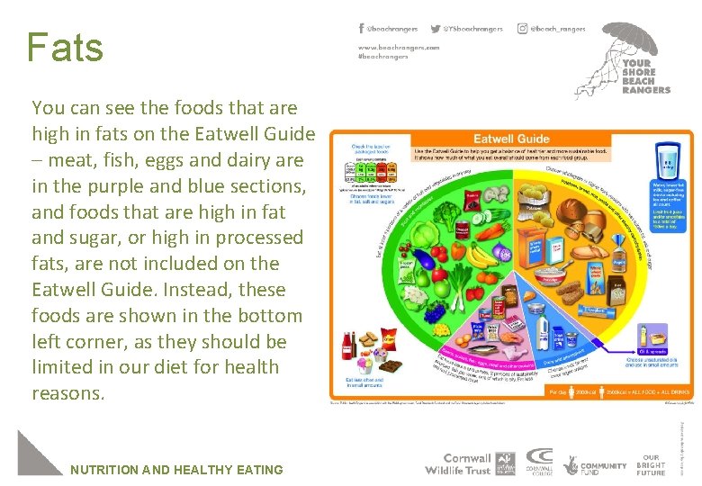 Fats You can see the foods that are high in fats on the Eatwell