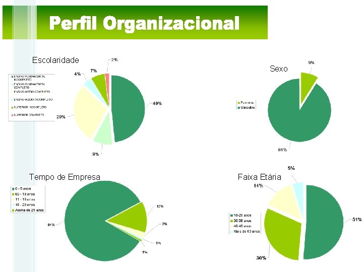 Escolaridade Tempo de Empresa Sexo Faixa Etária 