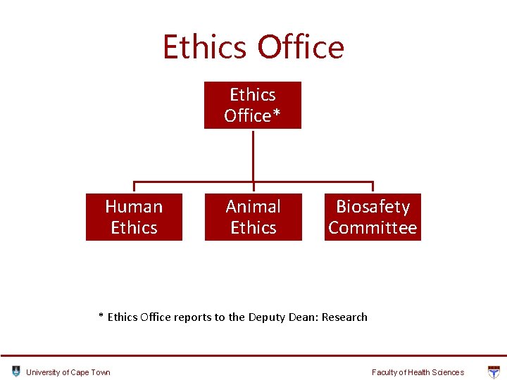 Ethics Office* Human Ethics Animal Ethics Biosafety Committee * Ethics Office reports to the Ethics Office* Human Ethics Animal Ethics Biosafety Committee * Ethics Office reports to the