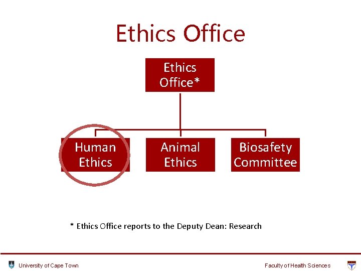 Ethics Office* Human Ethics Animal Ethics Biosafety Committee * Ethics Office reports to the Ethics Office* Human Ethics Animal Ethics Biosafety Committee * Ethics Office reports to the