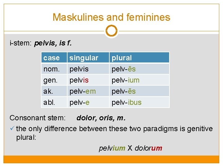 Maskulines and feminines i-stem: pelvis, is f. case singular plural nom. pelvis pelv-ēs gen.