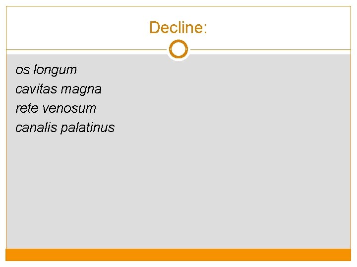 Decline: os longum cavitas magna rete venosum canalis palatinus 